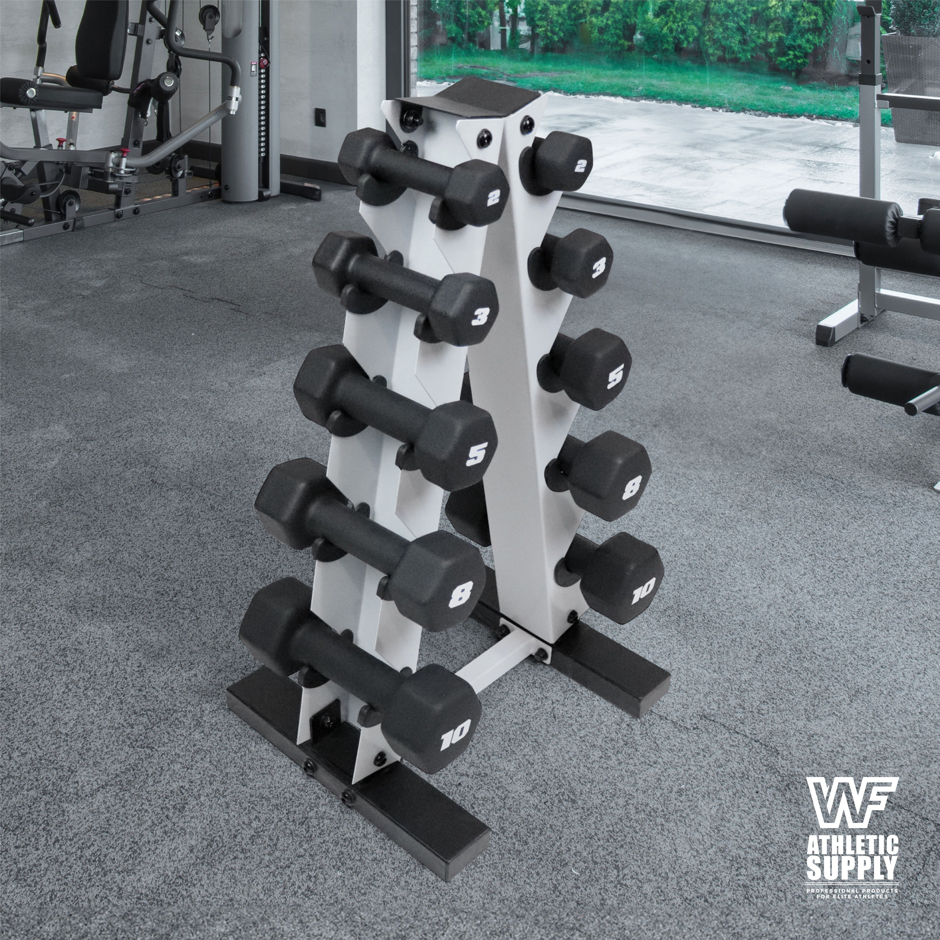 CAPHAUS Black Neoprene Dumbbells, Anti-slip Grip & Anti-roll Hexagon Shape, Muscle Building, Strength Building & Body Toning, Multiple Sizes, Sold in Pairs