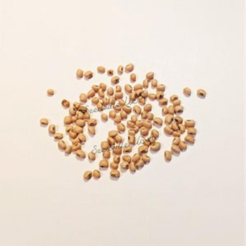 lady cowpea cow pea southern pea - Temu