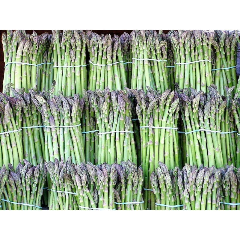 

In Stock125 Uc72 Officinallis Vegetable