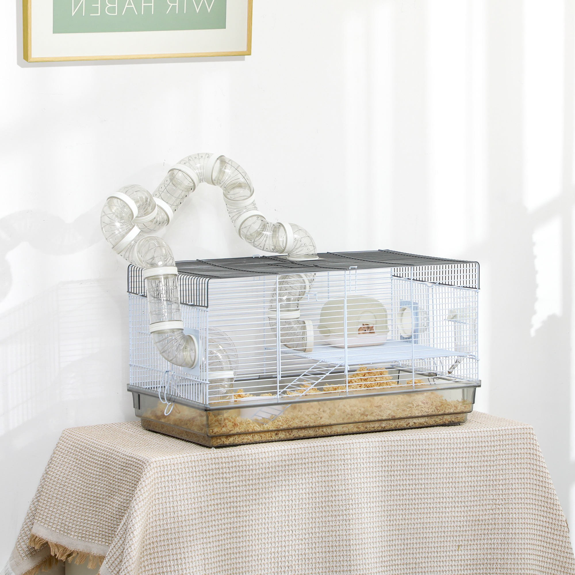 Hamster Cage Winter White Hamster Petsmart Clearance Winter White Hamster  Price Cheap Sale Black Friday, image size:2000x2000