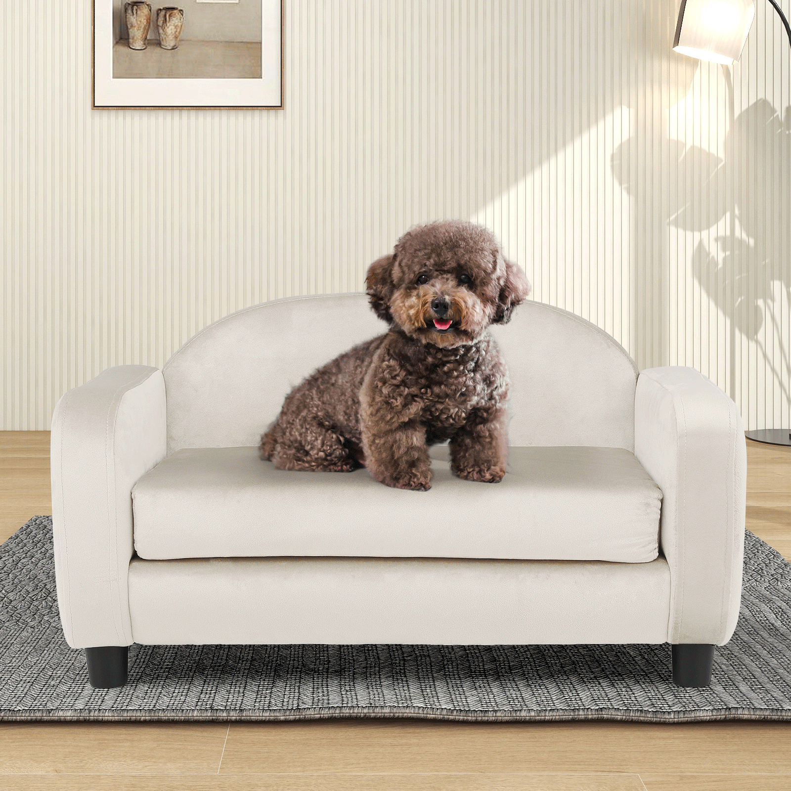 mini dog couch