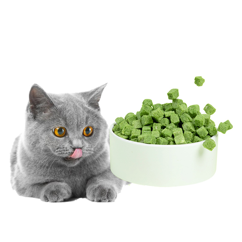 

Cat Grass Treats For Hairball Removal And Teeth Cleaning, Cat Grass Kit For Indoor Cats, Chicken Flavored Hairball Treats For Cats, Dental Treat For Indoor Cat, Cat Grass For Indoor Cats