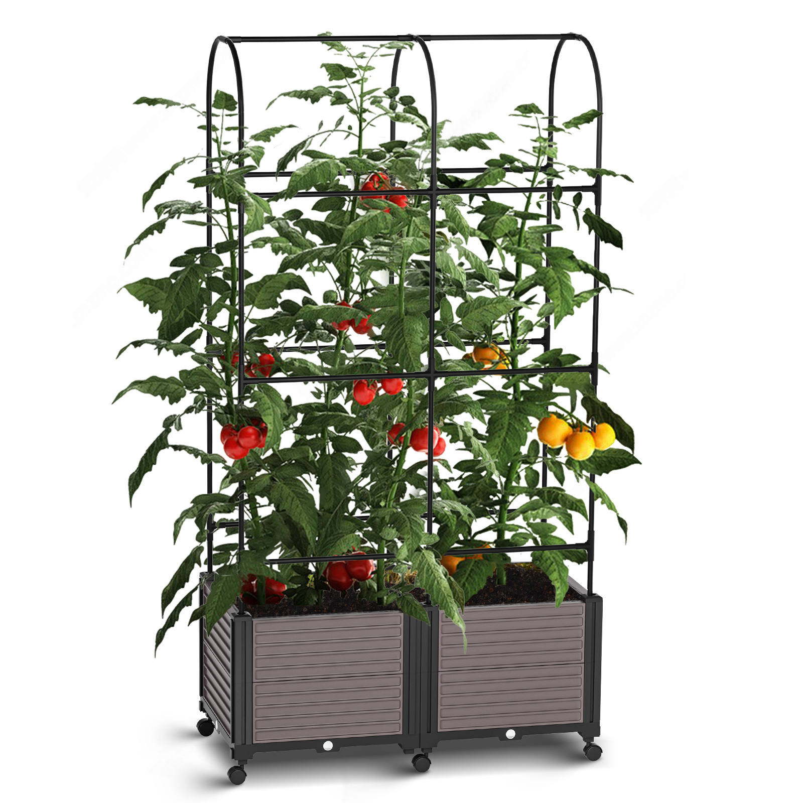 Jardinière surélevée avec treillis, jardinière et potager, jardinière
