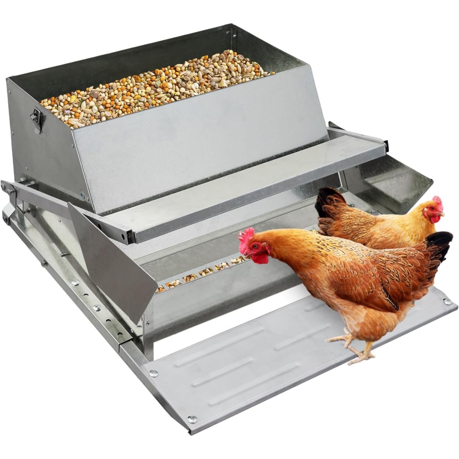 Automatic Chicken Treadle Feeder Galvanized Steel Poultry - Temu