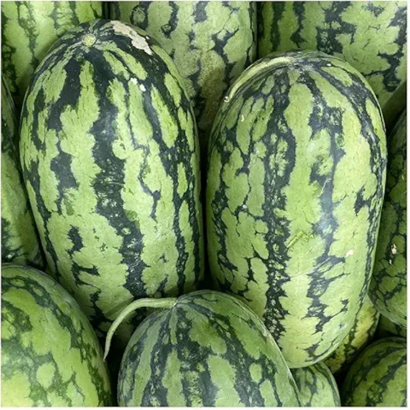

Rare Sweet Heirloom Watermelon Seeds For Planting