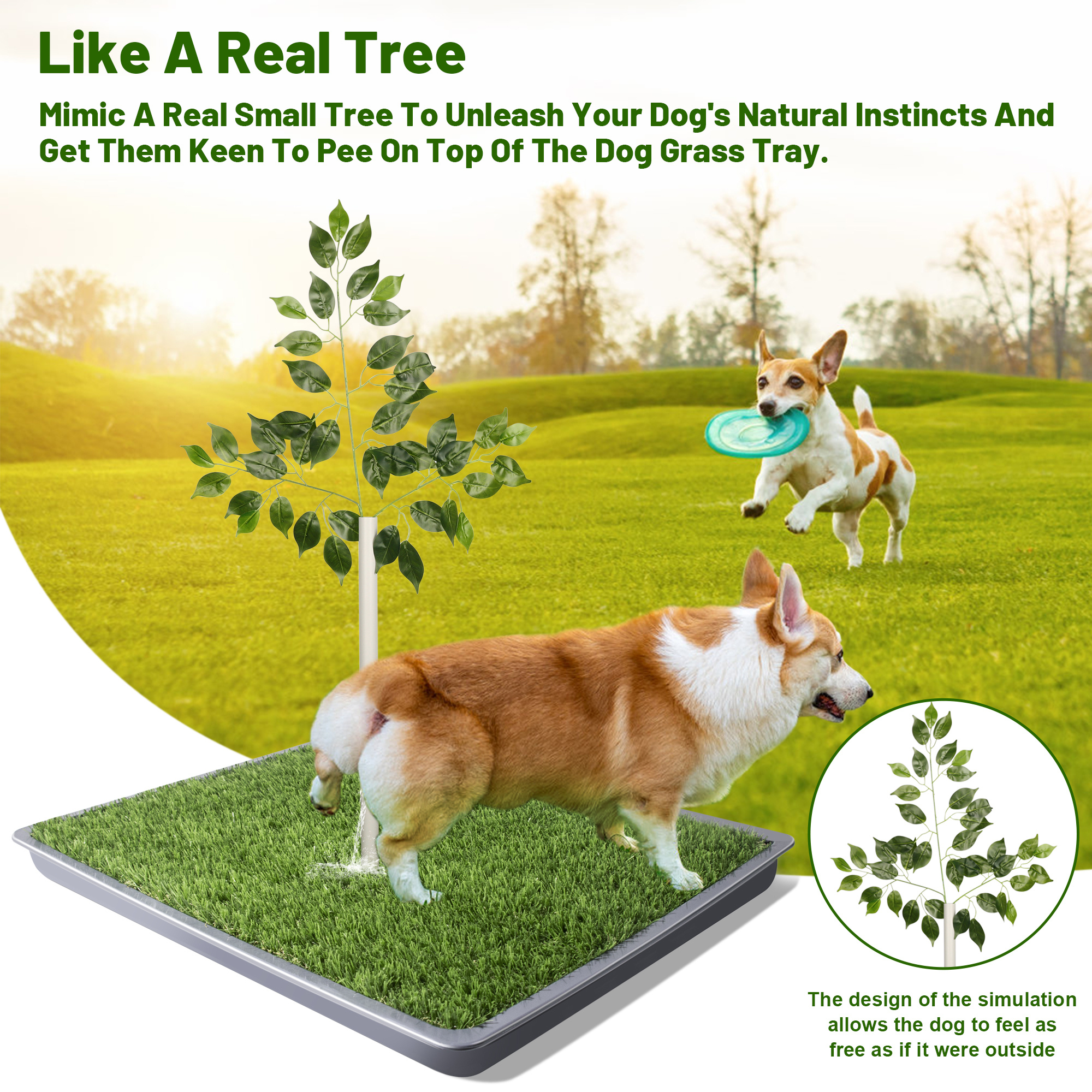 Sale how to get a dog to potty outside Hotsell