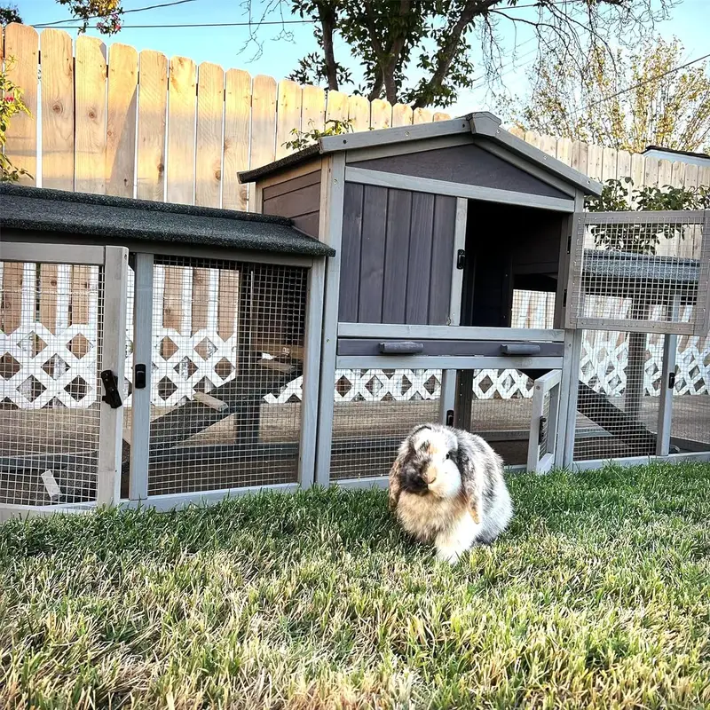 Local Cages Chicken Cages For Outside Rabbit Cage PVC Chicken Coop Rabbit Hutch ...