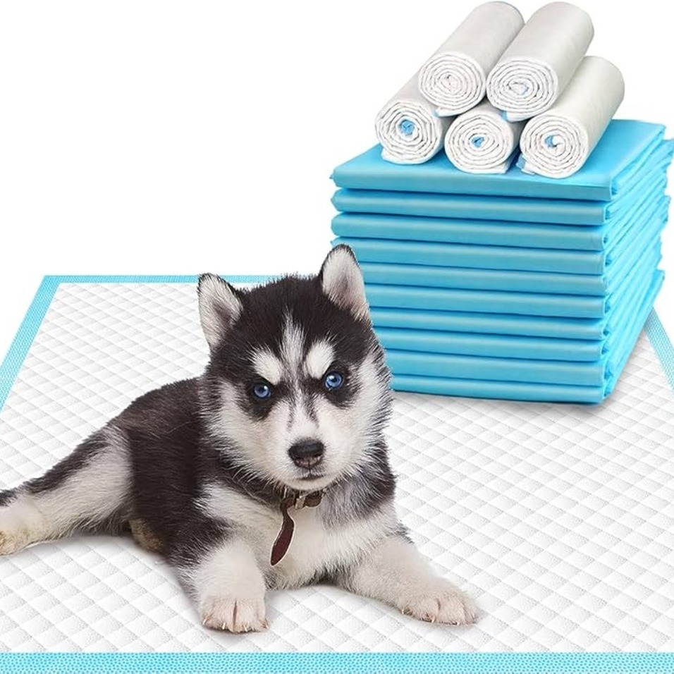 

30''x36''/22"x22'' Manufactured In The Us Premium Disposable Dog Training Pads, Super Absorbency, Blue Extra Strength Leak-proof
