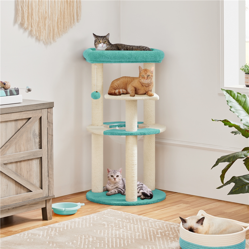 

35.5 Tall Clear Capsule Cat Playhouse With Transparent Cat Bed/scratching Posts/ For Kittens