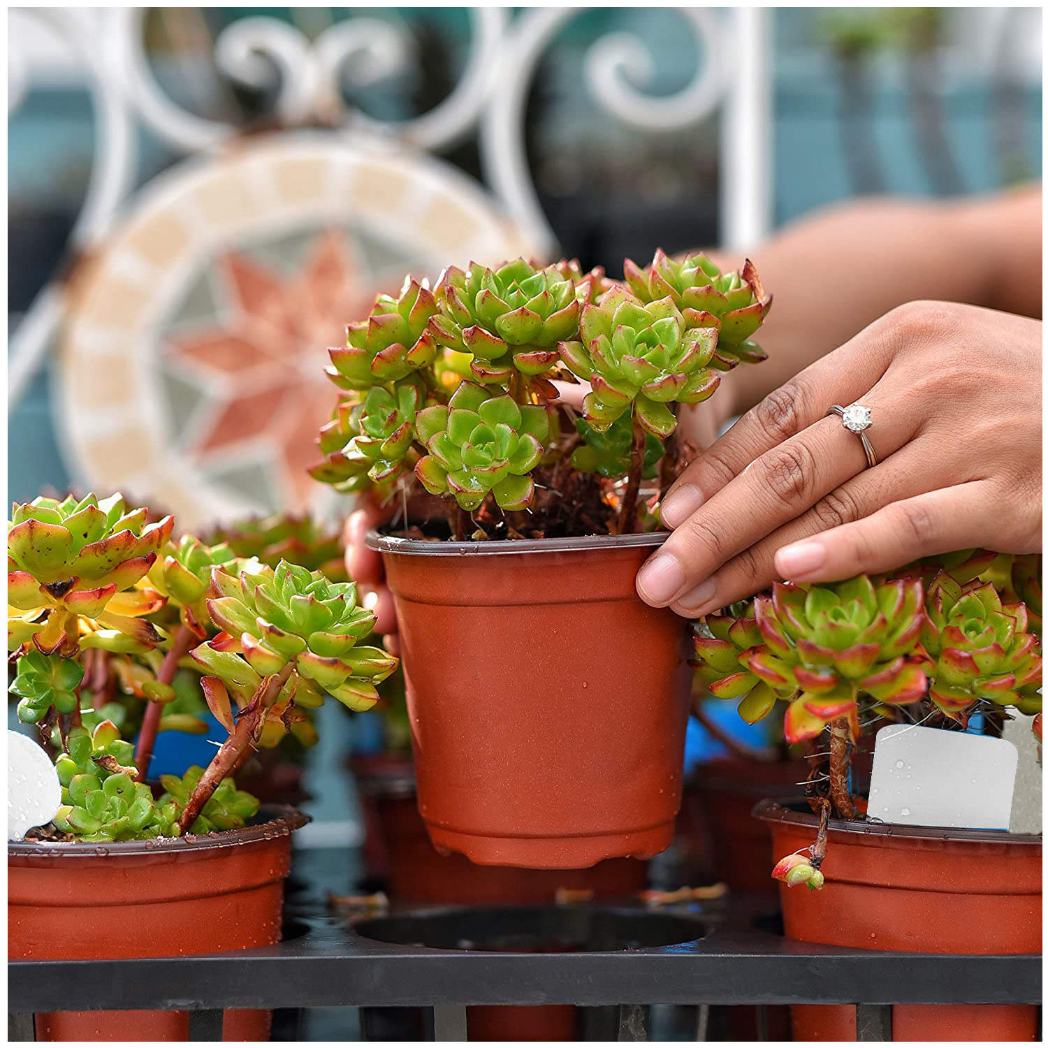 

Sets Plant Nursery Pots With 10pcs Plant Labels - Seed Pots Small Planter Containers With Covers & Drain Holes Small Seed Starting Trays, For Seedling Gardening