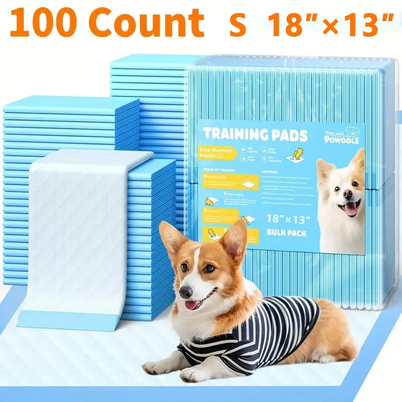 Dog Whisperer Caesar Millan Potty Training Caesar Millan Potty