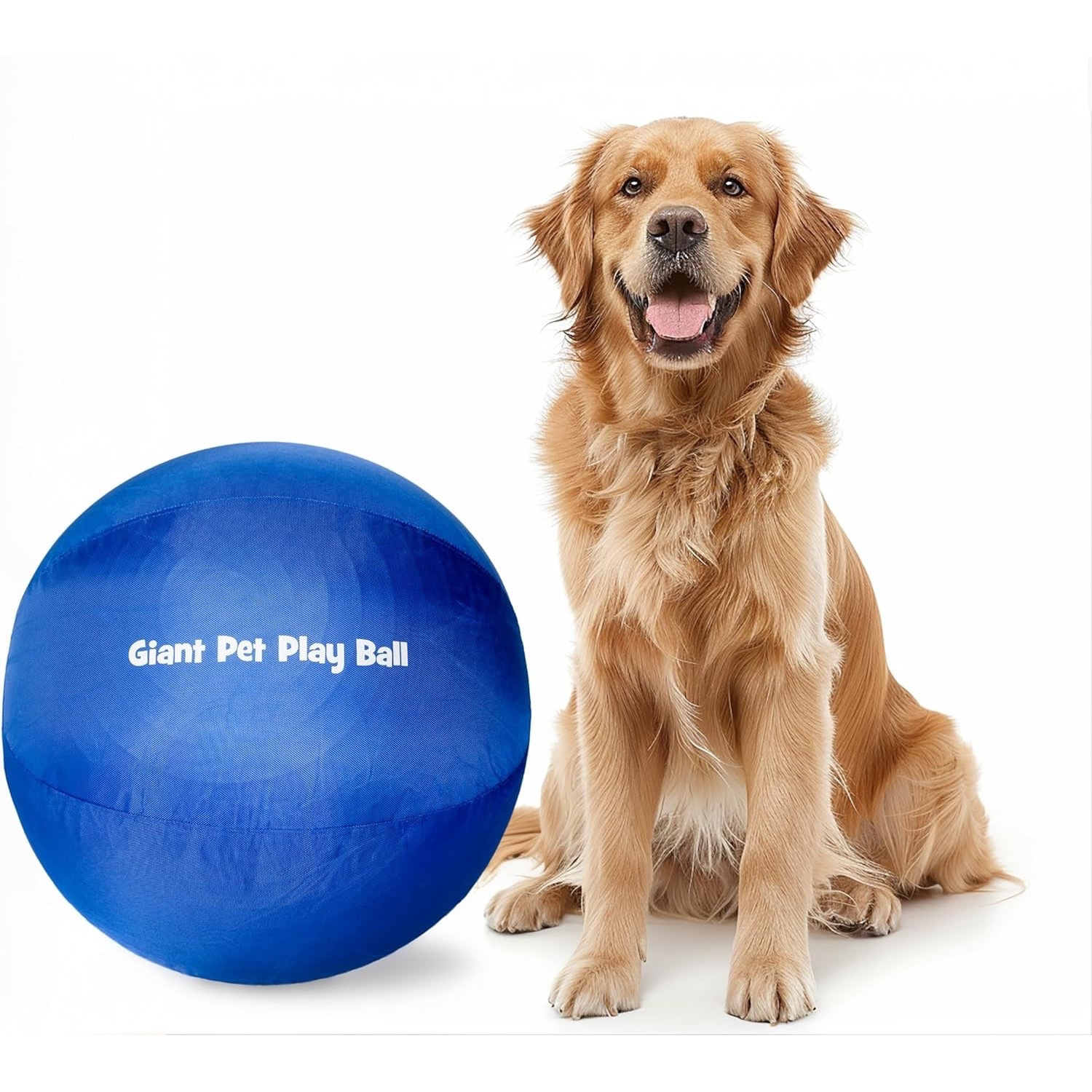 

Pet For Dogs, 24" Includes And , , ,