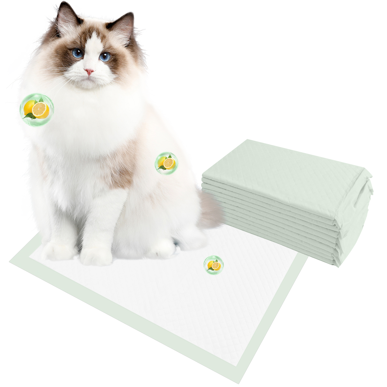 Cat Pads Temu United States