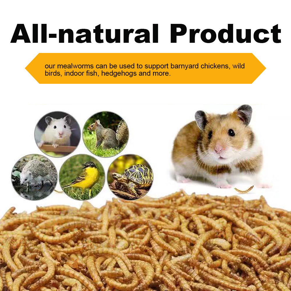 Premium Dried Mealworms for Birds & Pets 7 d36eed46 7e9a 4da4 8a2c