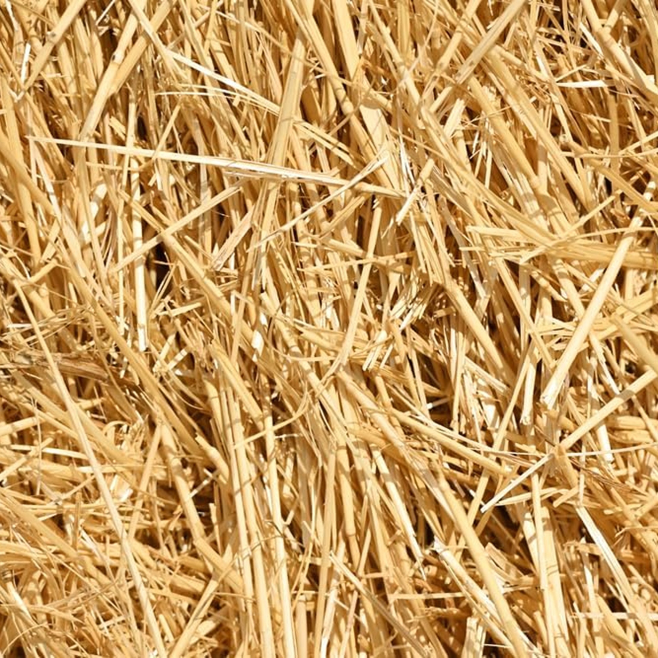 Natural For Animal Bedding Garden Mulch Compost Fertilizer And Grass