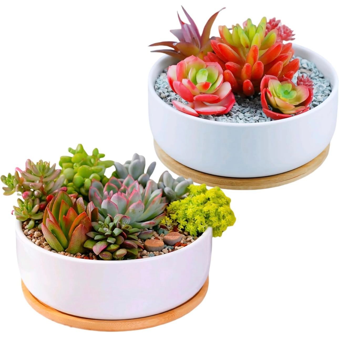 

2pack 6.3 Inches Cute Circular Ceramic Home Garden Decoration Succulent Cactus Flower Pots Container With Bamboo Tray -plant Not Included (2)