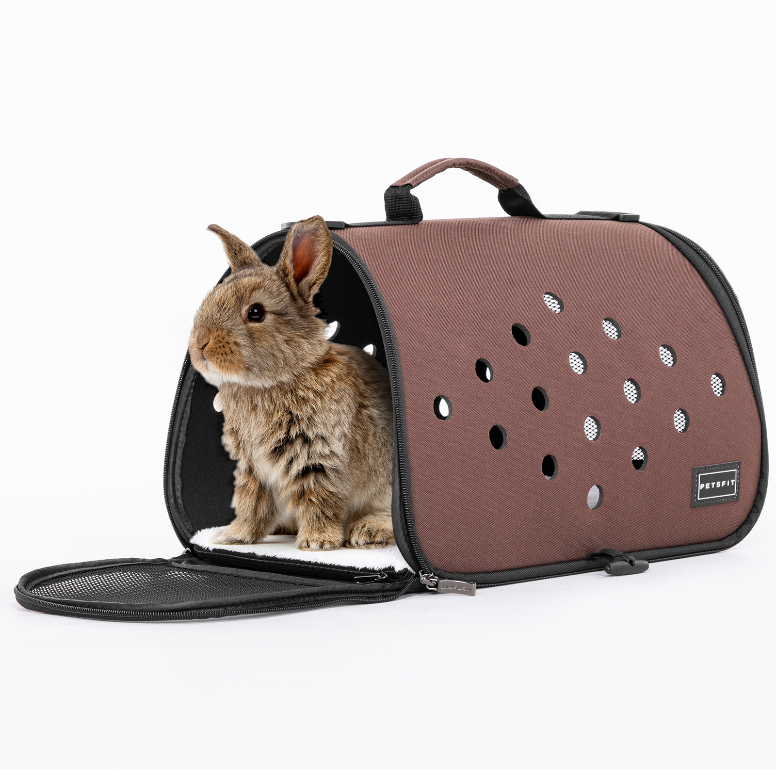 Bunny carrier best sale