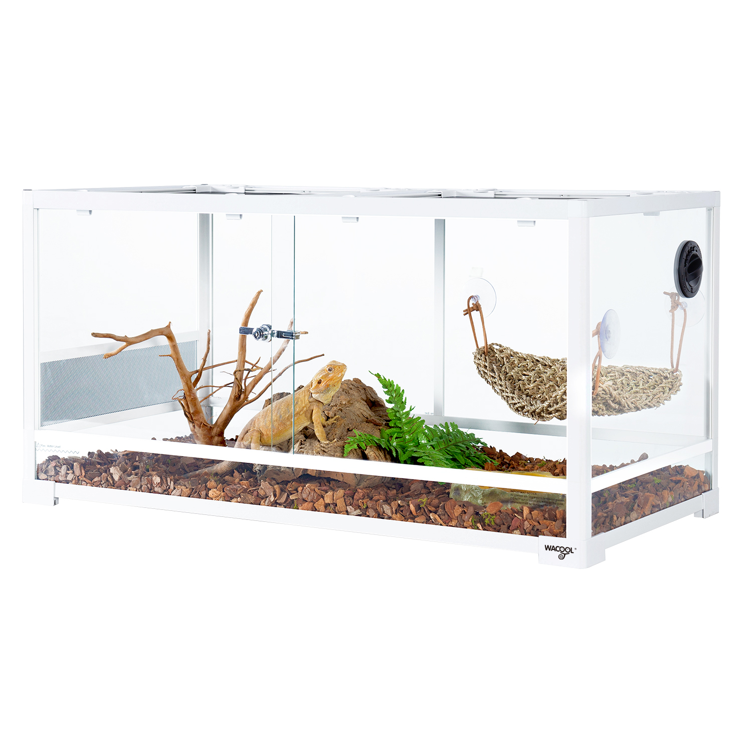 40 gallon glass terrarium best sale