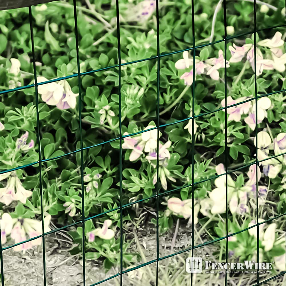 Vinyl Coated Welded Wire Mesh Image 4