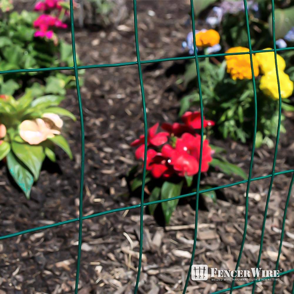 Vinyl Coated Welded Wire Mesh Image 5