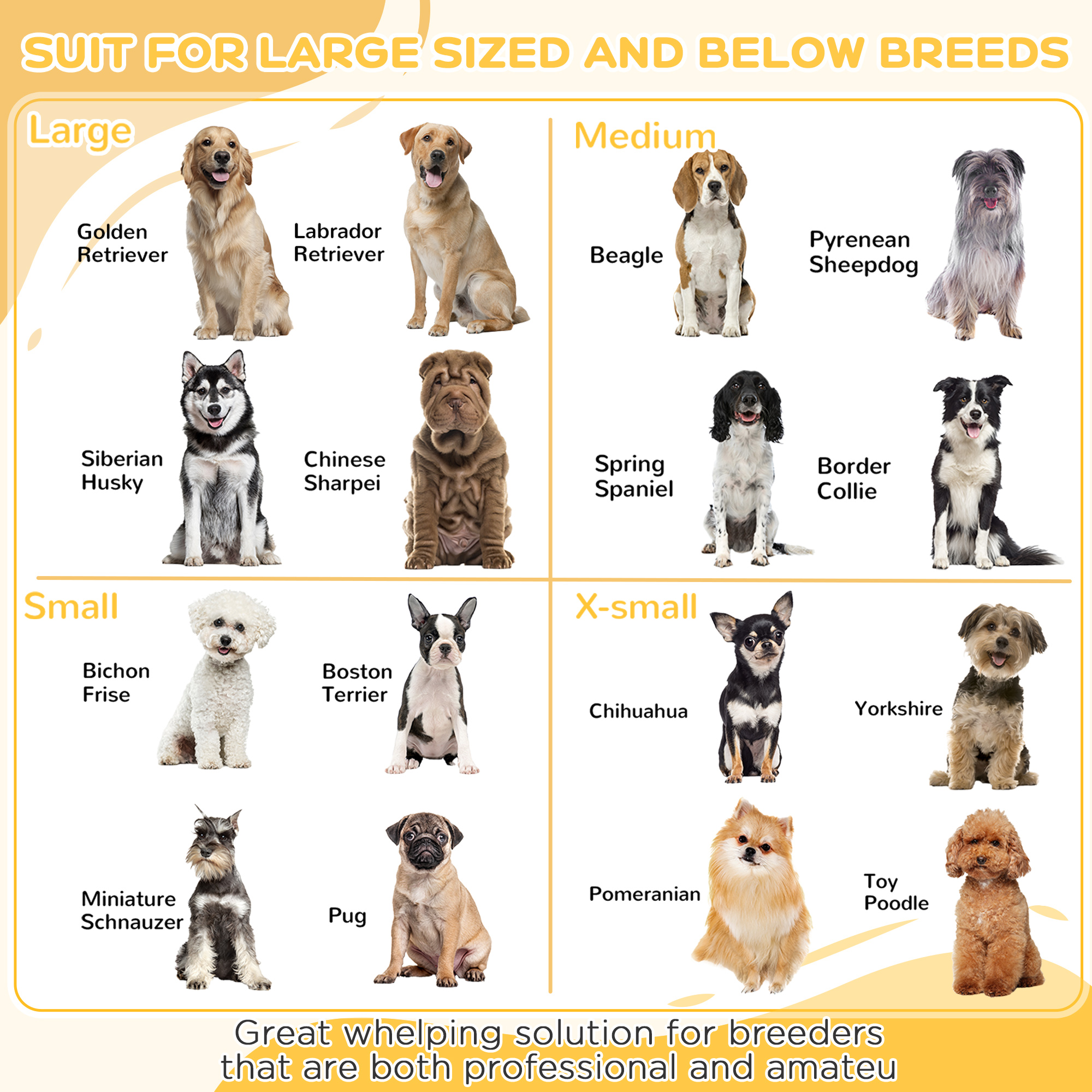 Pet List Of Retrievers List Of Different Types Of Dogs Types Of