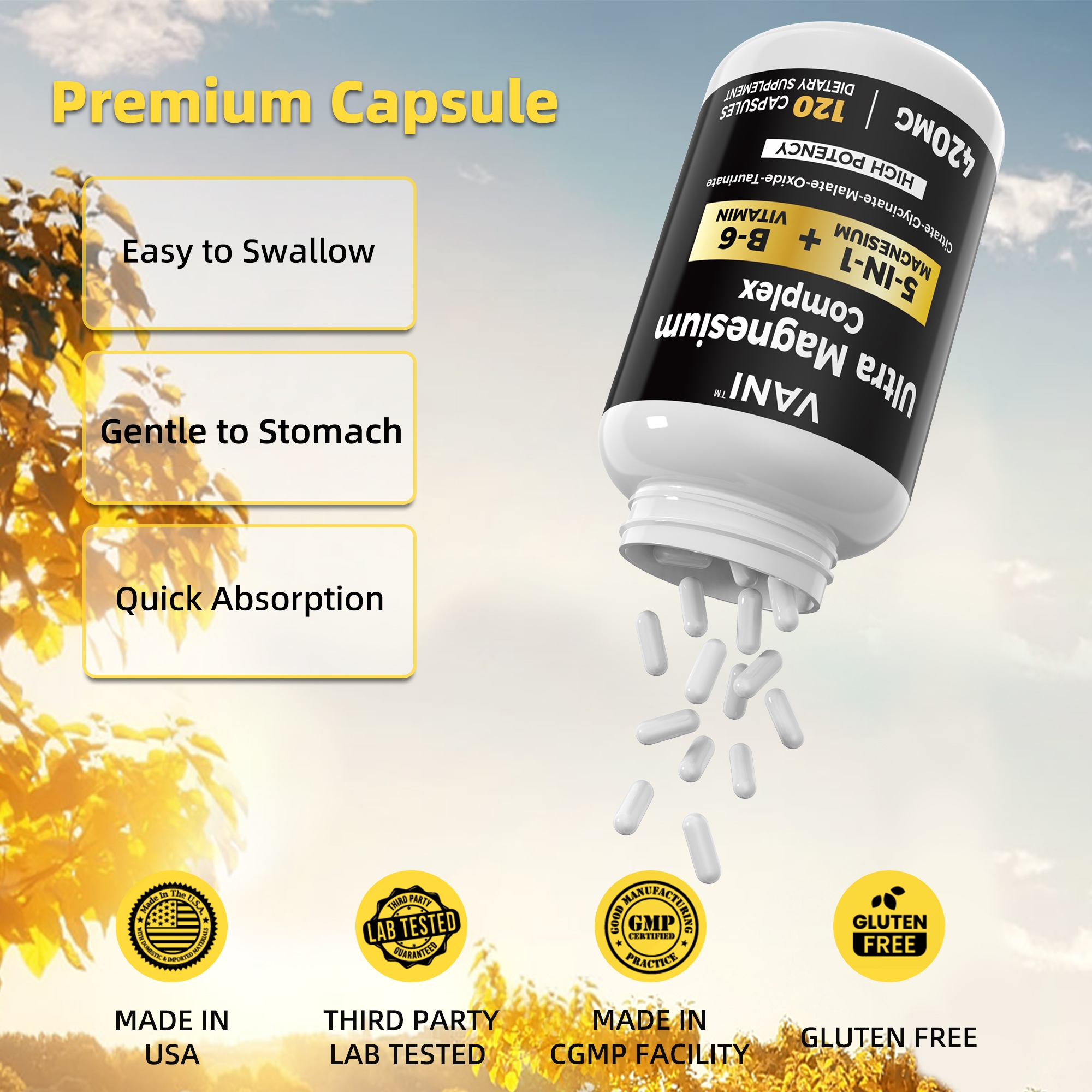 2 bottles 5 in 1   b6 vitamin supplement 420mg high absorption 120 capsules details 6