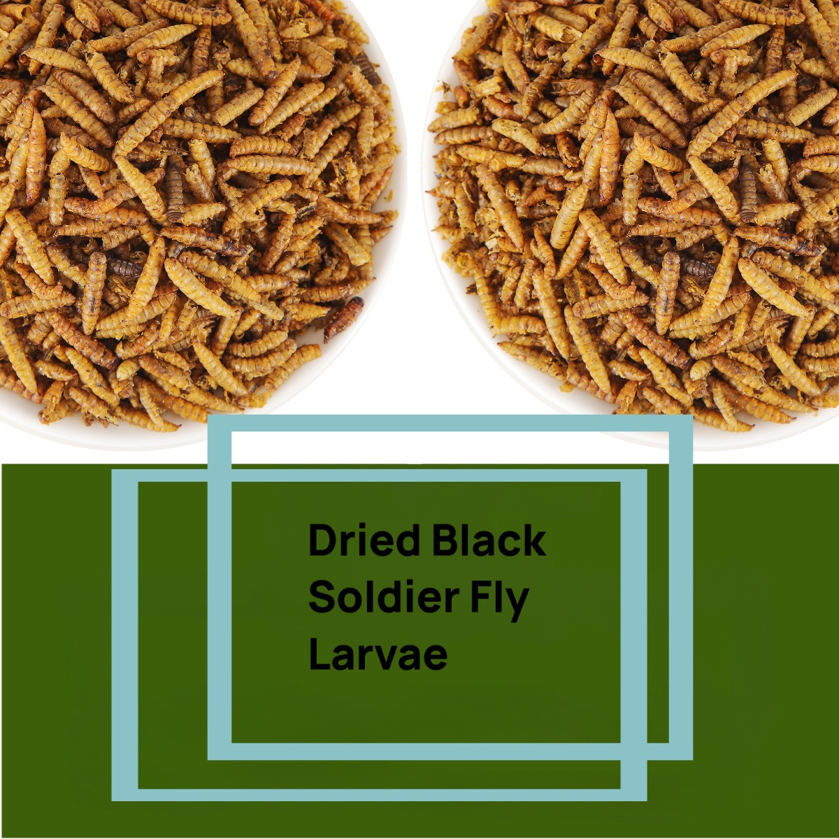 TEMU Dried Fly For Chickens Protein Pet Food High Dried For Hens Ducks Turtles Fish Lizards Hamsters Dried Insect