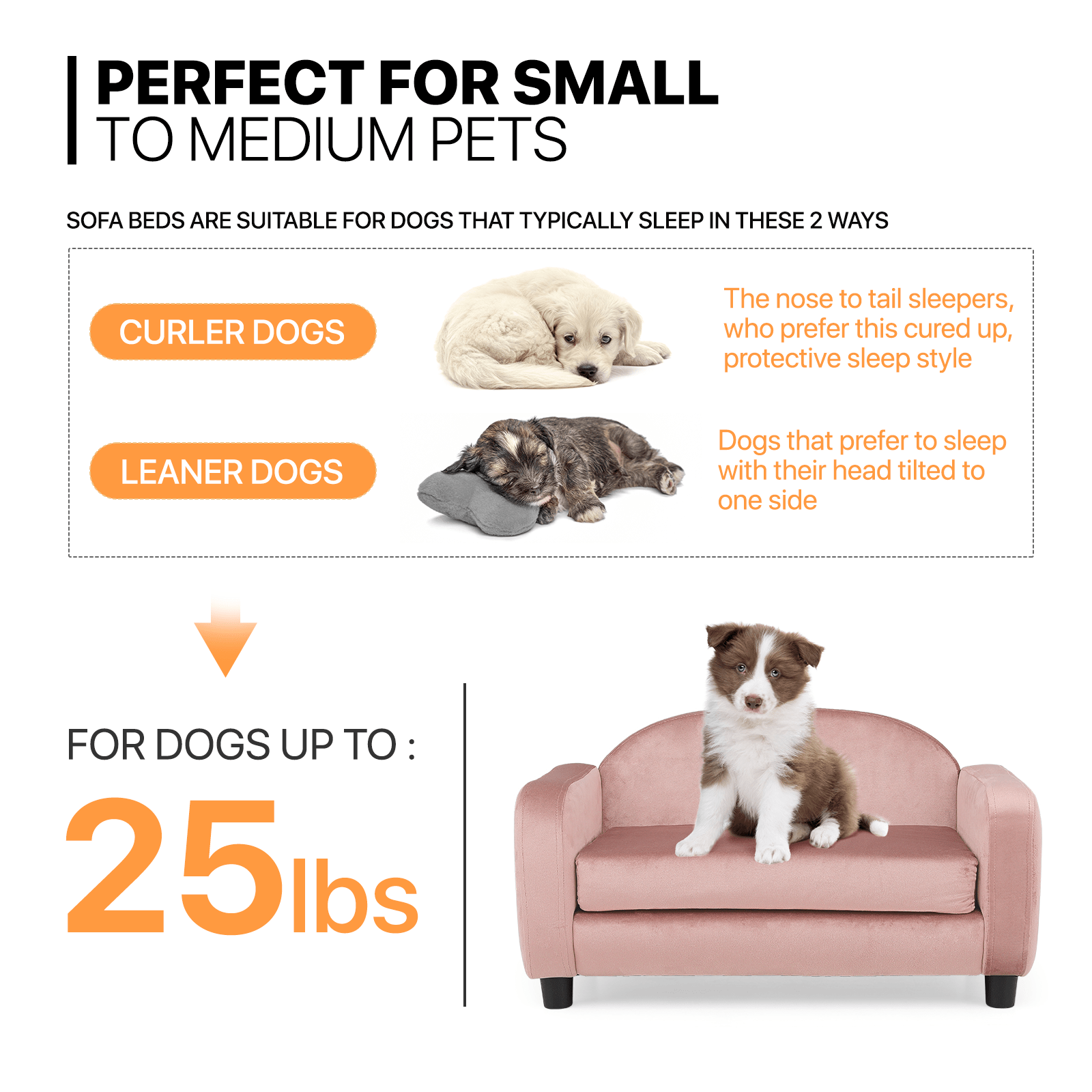 mini dog couch