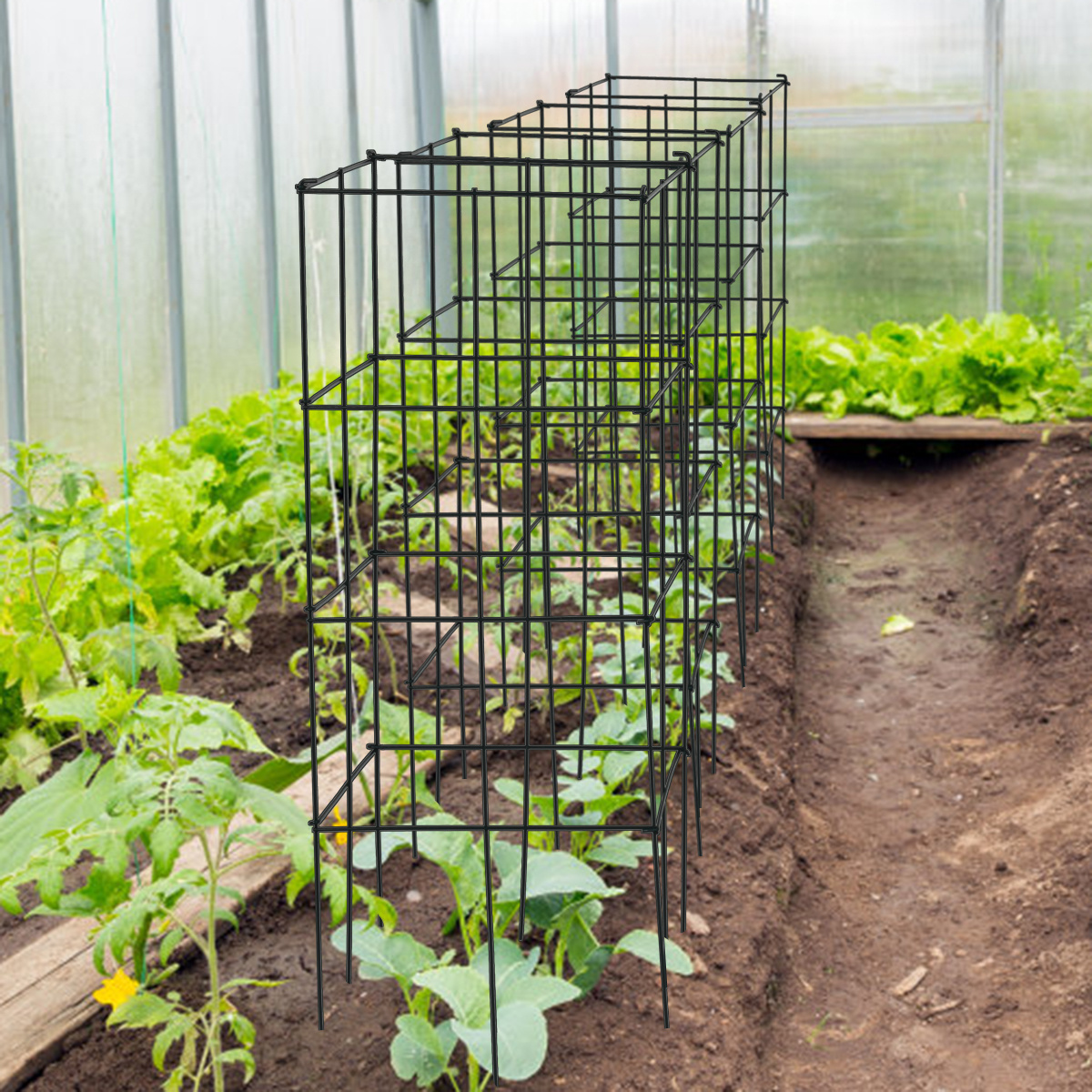 TEMU Costway 4 Pack Tomato Cage, Assembled Garden Plant Support Stakes For Vertical Climbing Plants, Rust-resistant And Solid Plant Trellis Suitable
