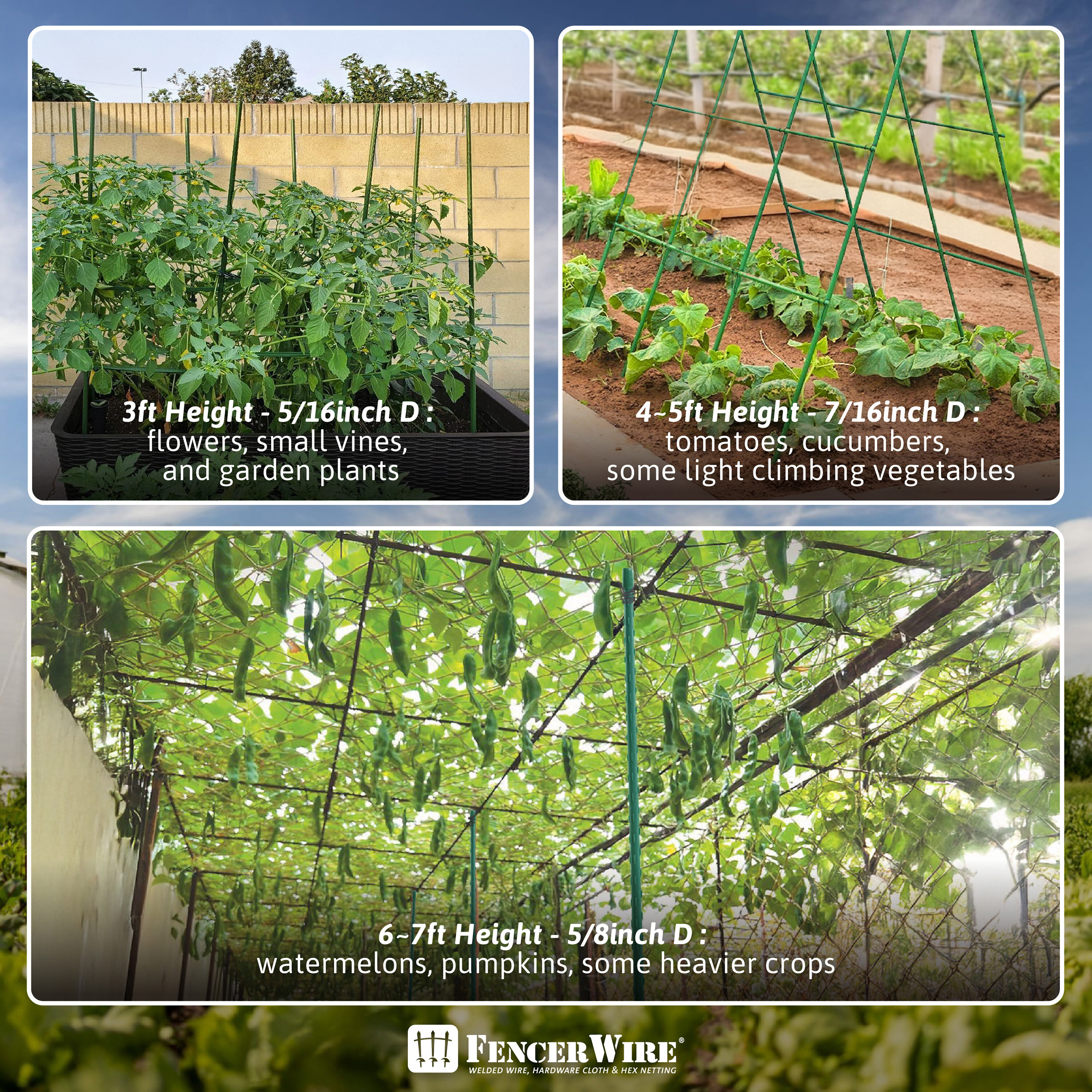 Durable Metal Plant Supports Image 10