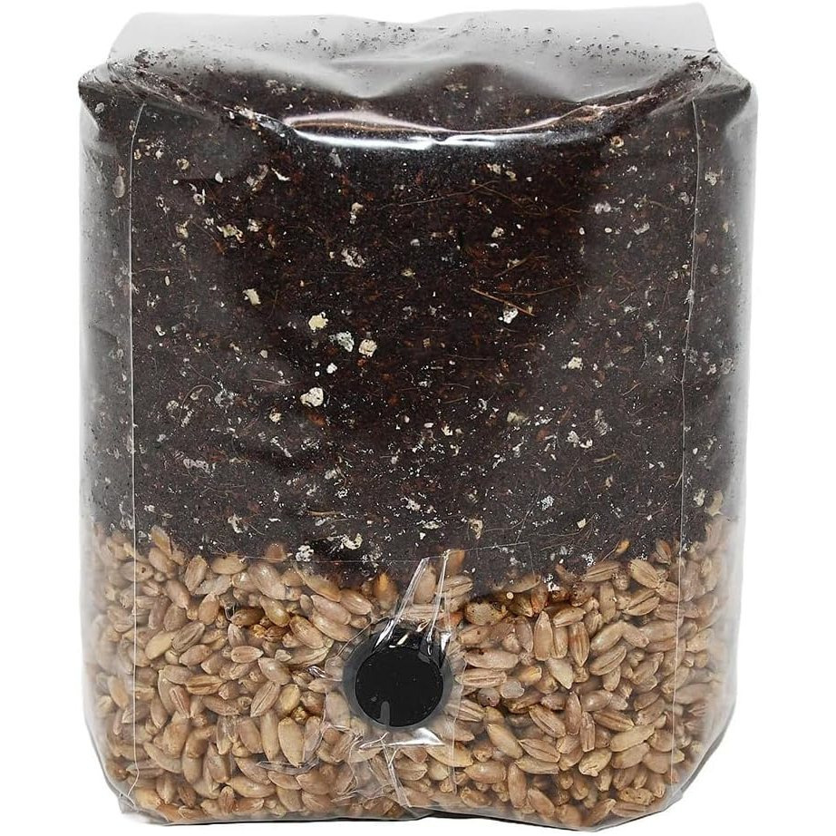 TEMU Mini All In 1 Mushroom Grow Bag – Manure Based Mushroom Grow Kit (1.5lb)
