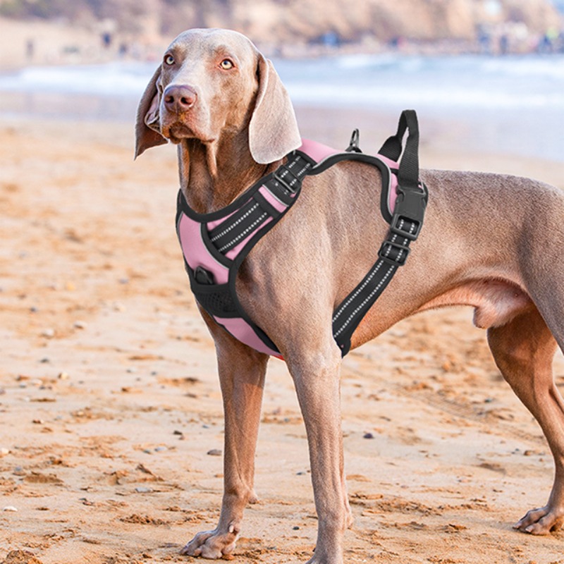 reflective dog harness vest harness handle - Size : XL - Items : Red Product Image