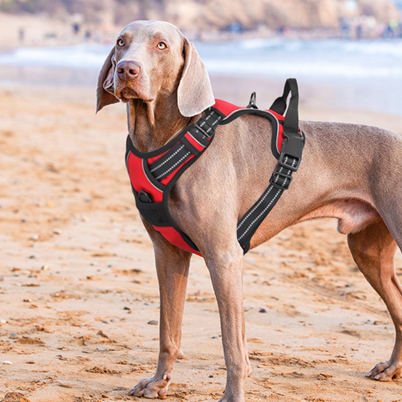 reflective dog harness vest harness handle - Size : XL - Items : Red Product Image