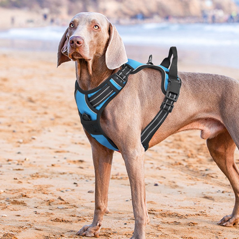 reflective dog harness vest harness handle - Size : XL - Items : Red Product Image