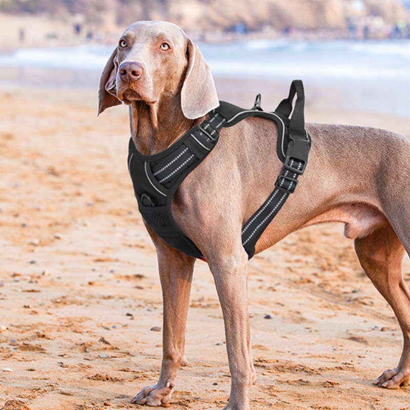 reflective dog harness vest harness handle - Size : XL - Items : Red Product Image