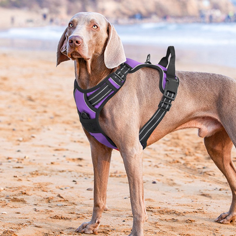 reflective dog harness vest harness handle - Size : XL - Items : Red Product Image