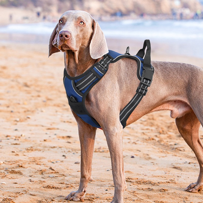 reflective dog harness vest harness handle - Size : XL - Items : Red Product Image