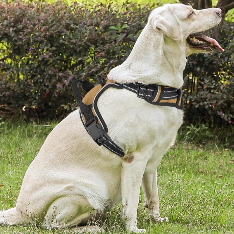 reflective dog harness vest harness handle - Size : XL - Items : Red reflective dog harness vest harness handle - Size : XL - Items : Red