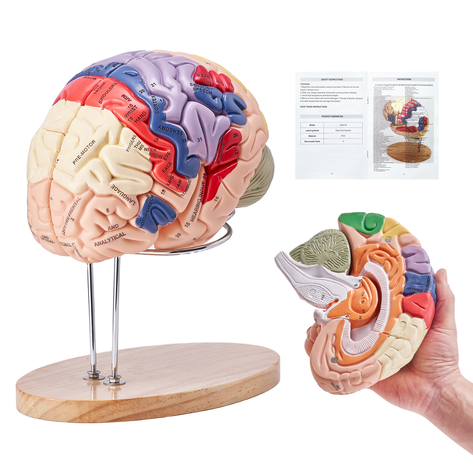 science sold on Temu United States