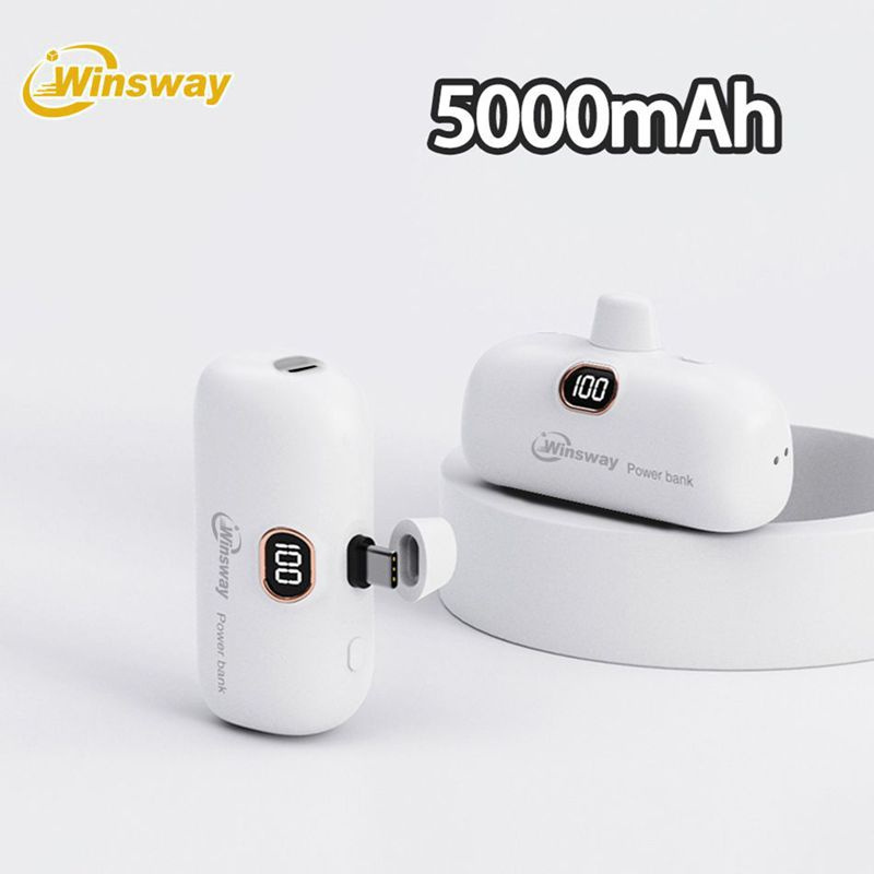 Winsway 5000mAh Portable Type-C Power Bank with Digital Display, Compact Fast Charging Battery Pack for iPhone and Android Devices