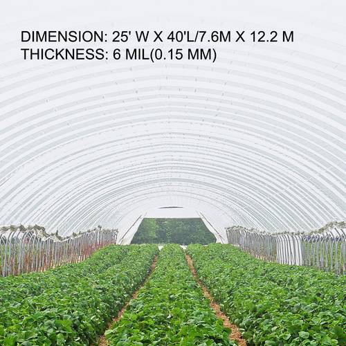 greenhouse film 8 x 25 ft 10 x 25 ft 12 x 25 ft 25 x 20 x 100 ft greenhouse polyethylene film 6 mil thickness greenhouse plastic greenhouse clear plastic film uv resistant polyethylene film keep warming superior strength
