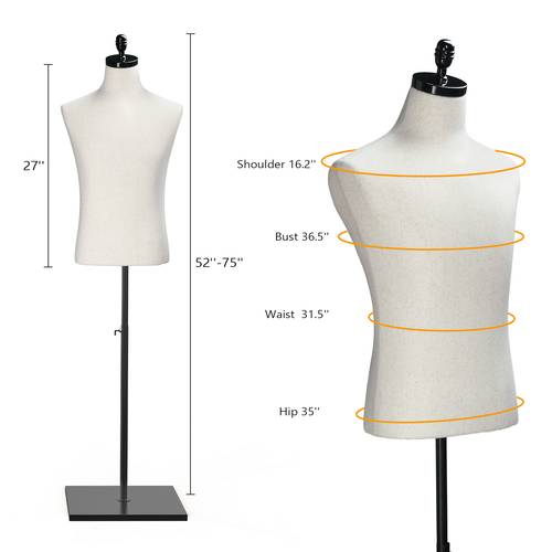 torso with wooden metal stand adjustable height male dress form body for clothing display and sewing