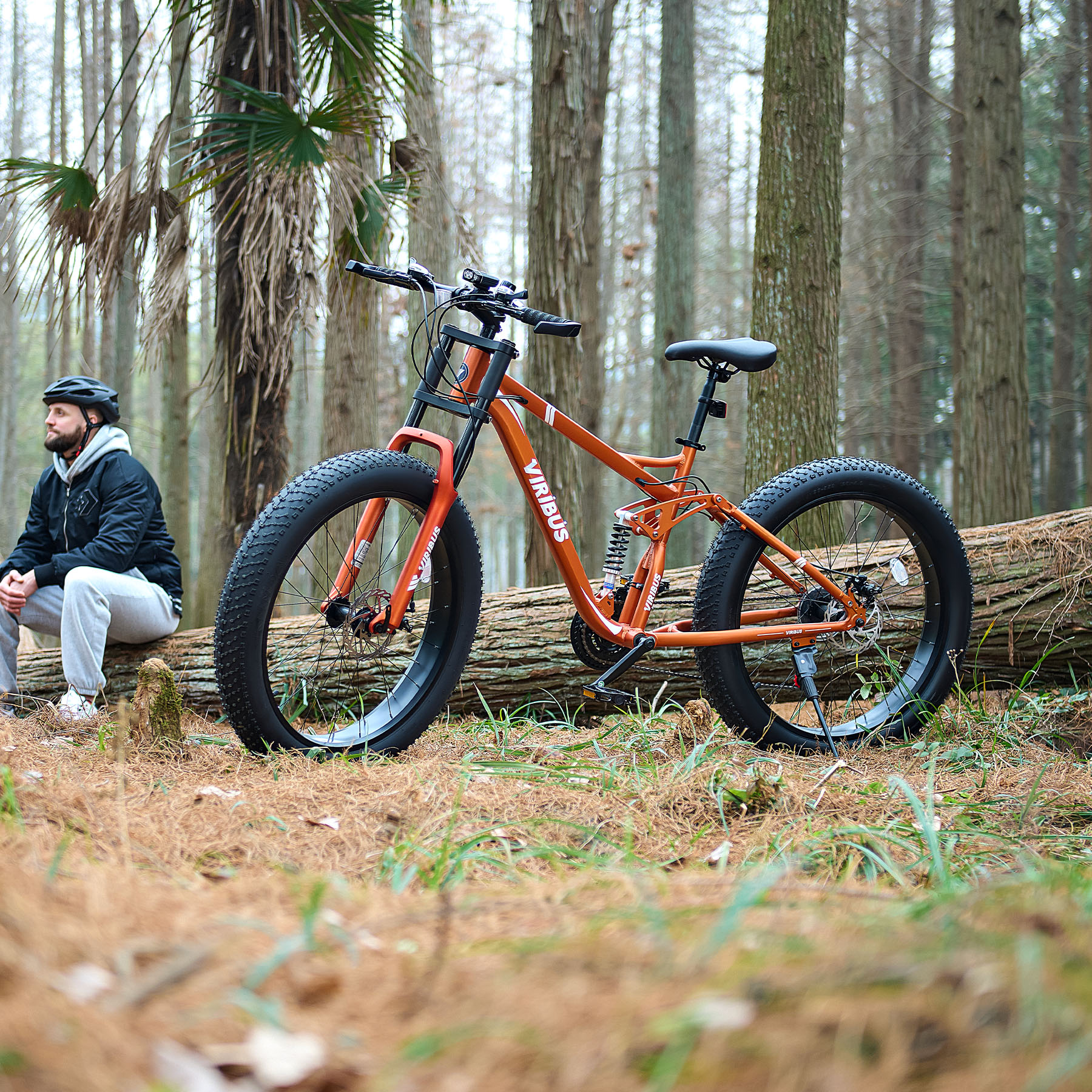 mtb bike frame sold on Temu United States