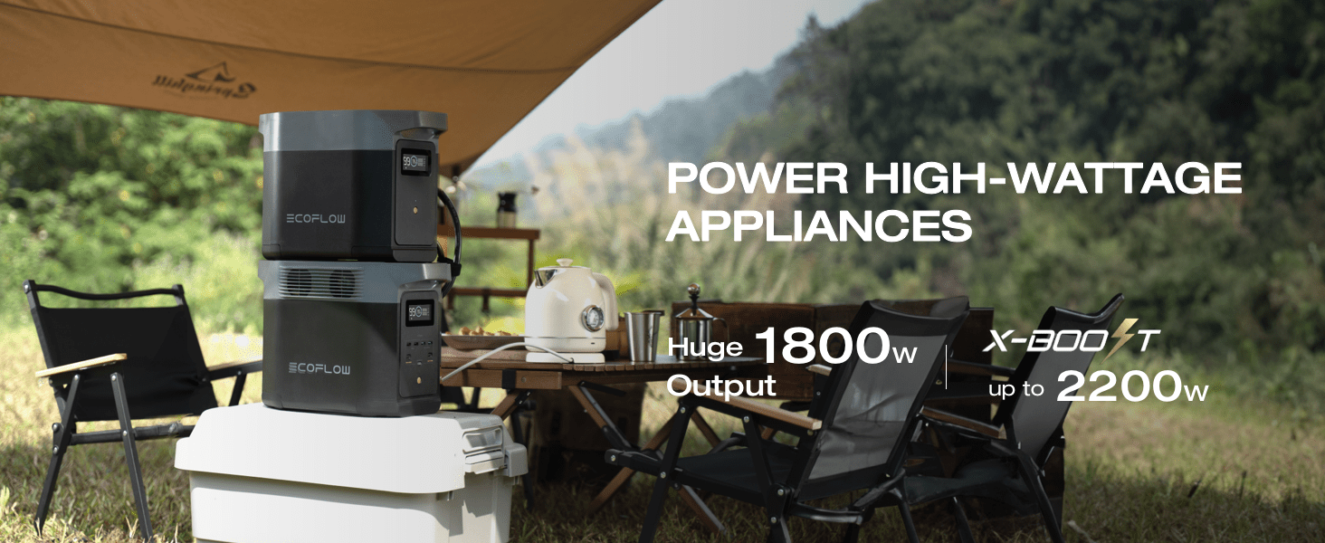 ECOFLOW 950Wh Portable Power Station, Delta 2 LiFePO4 (LFP) Battery, Fast Charging, Solar Power Bank (Solar Panel and Extray Battery not included) for Home Backup Power, Camping & RV (Father's Day)