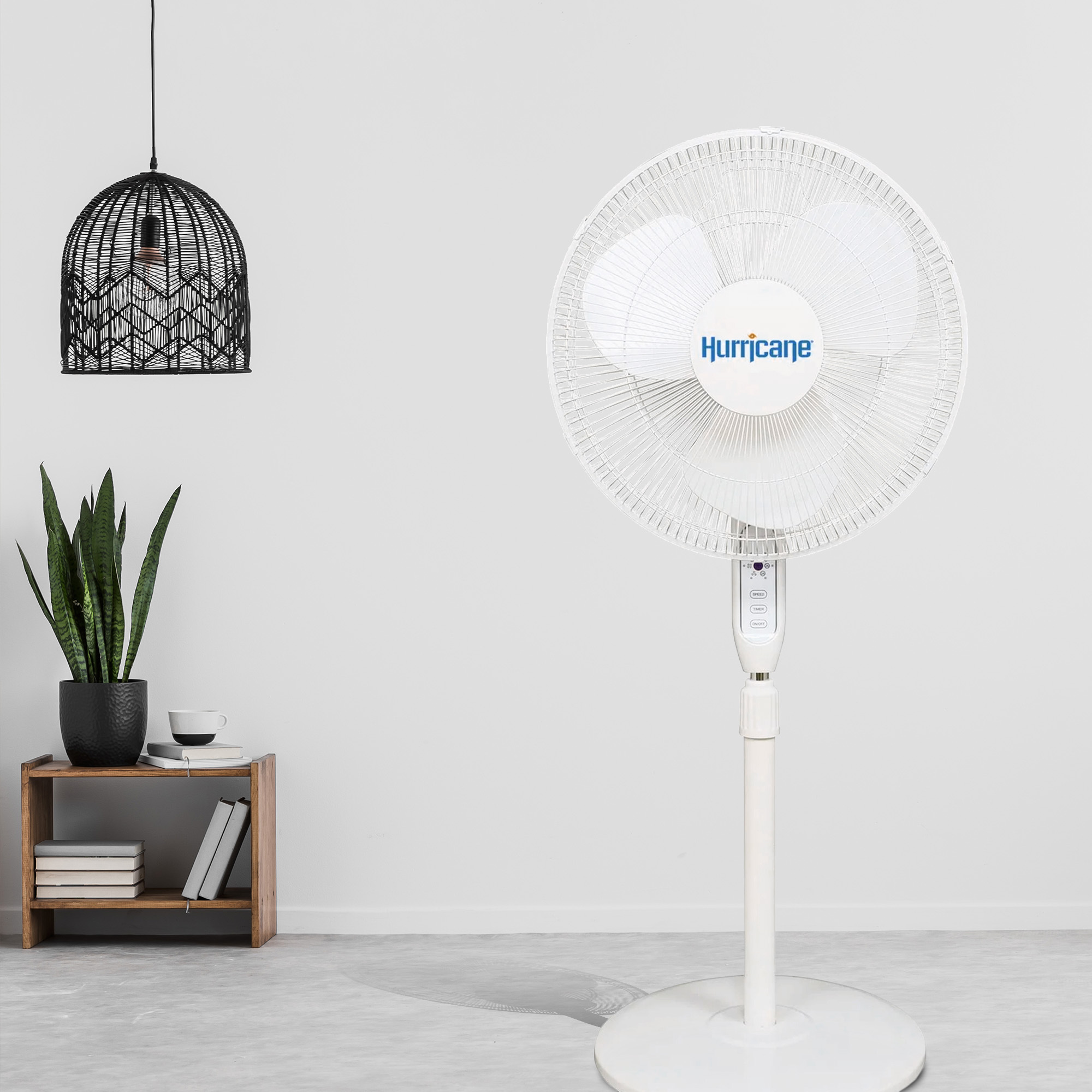 standing fan sold on Temu United States