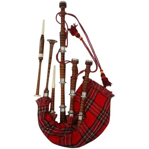 musical instruments sold on Temu United States