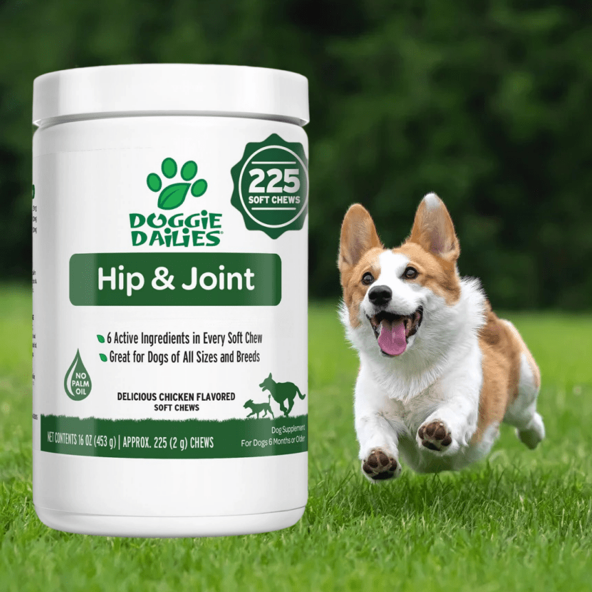 TEMU Chews For Dogs 225 Count - Hip & Joint Supplement With Chondroitin | Chicken Flavor Soft Treats For All Breeds