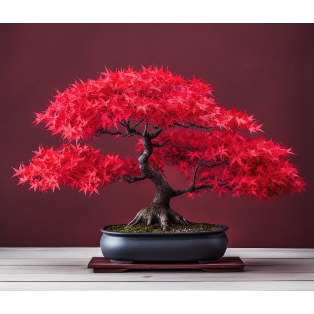 

Bonsai - 20 Pcs