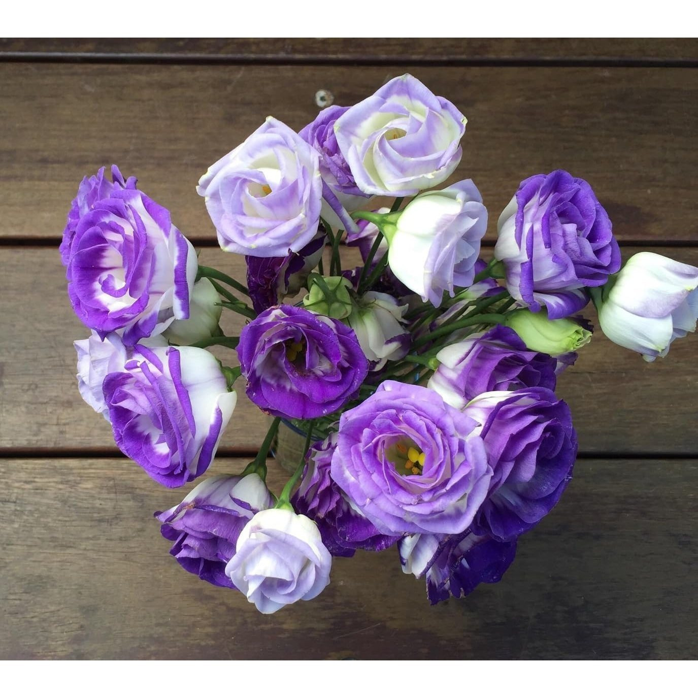 

Purple And White Lisianthuus Flowerss - 10pcs