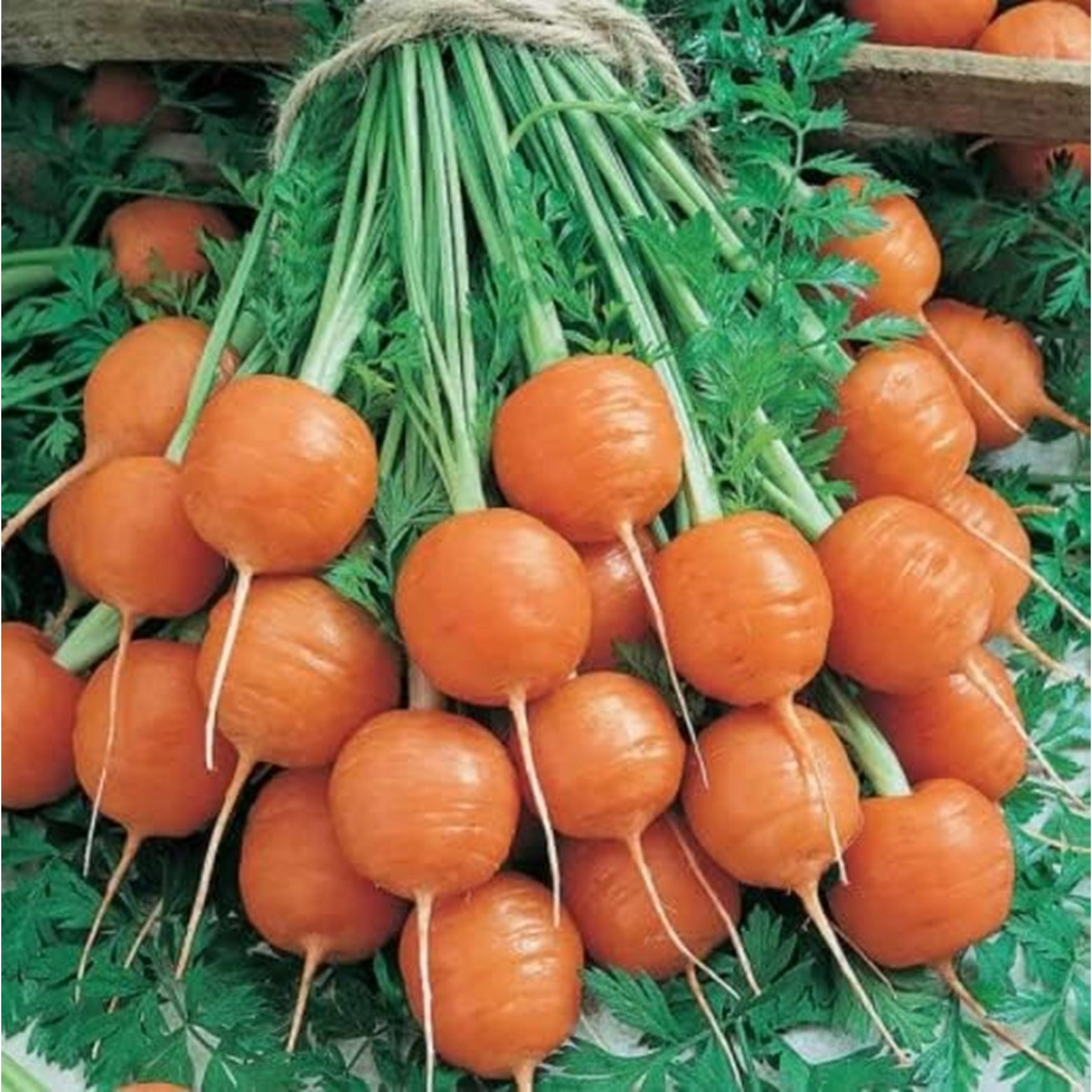 

Parisiian Carrotts